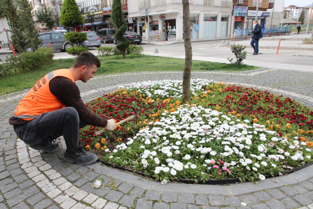 Fatsa Bahara Hazırlanıyor