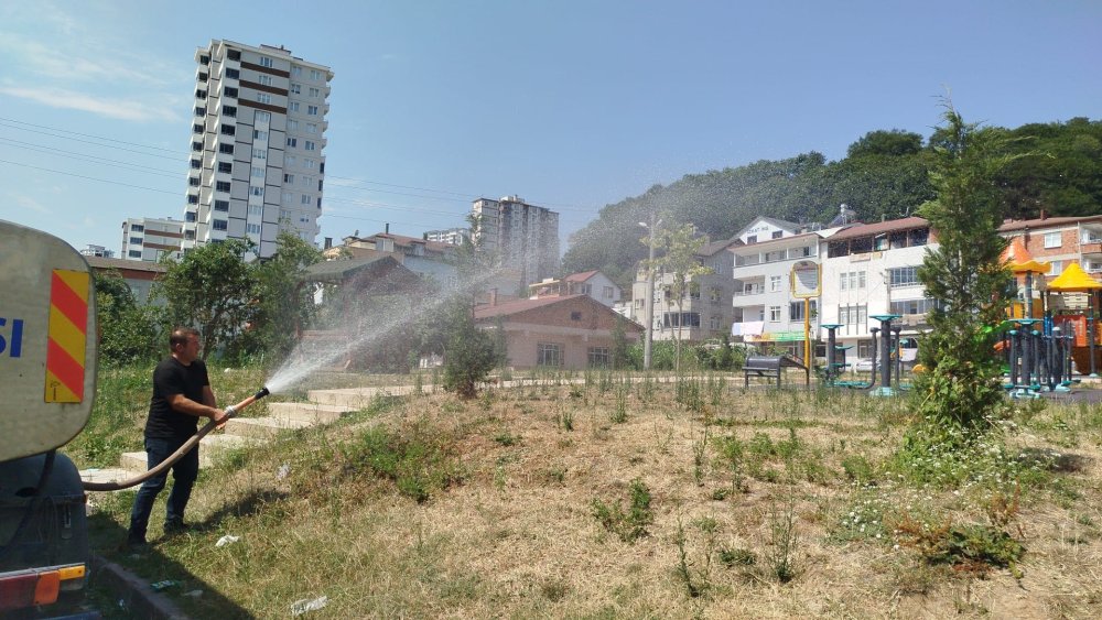 FATSA BELEDİYESİ’NDEN YEŞİL ALANLARA YOĞUN MESAİ