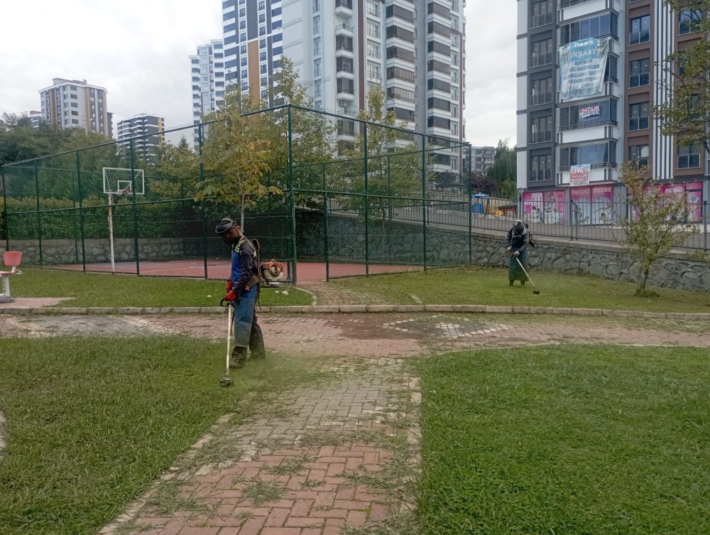 FATSA BELEDİYESİ PARK VE BAHÇELER MÜDÜRLÜĞÜ’NDEN YOĞUN ÇALIŞMA