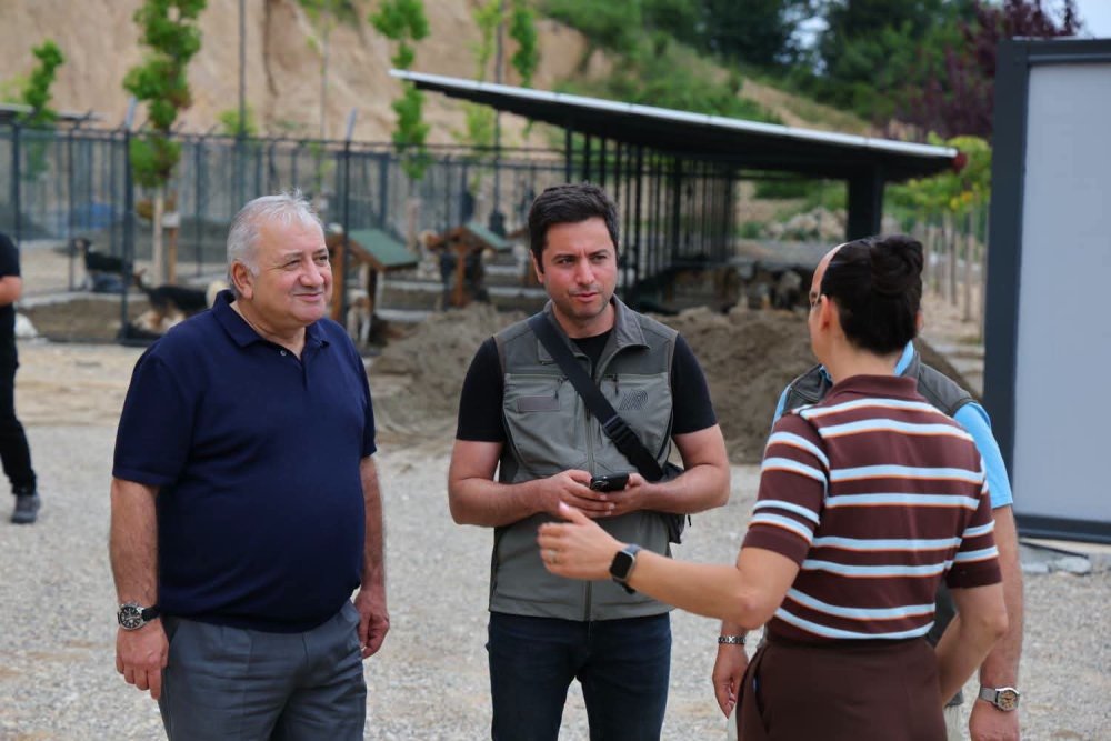 FATSA BELEDİYESİ SOKAK HAYVANLARI DOĞAL YAŞAM ALANINDA ÇALIŞMALAR SÜRÜYOR