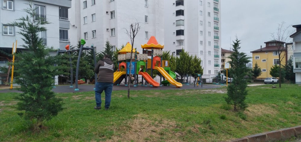 FATSA BELEDİYESİ YEŞİL ALANLARI BAHARA HAZIRLIYOR