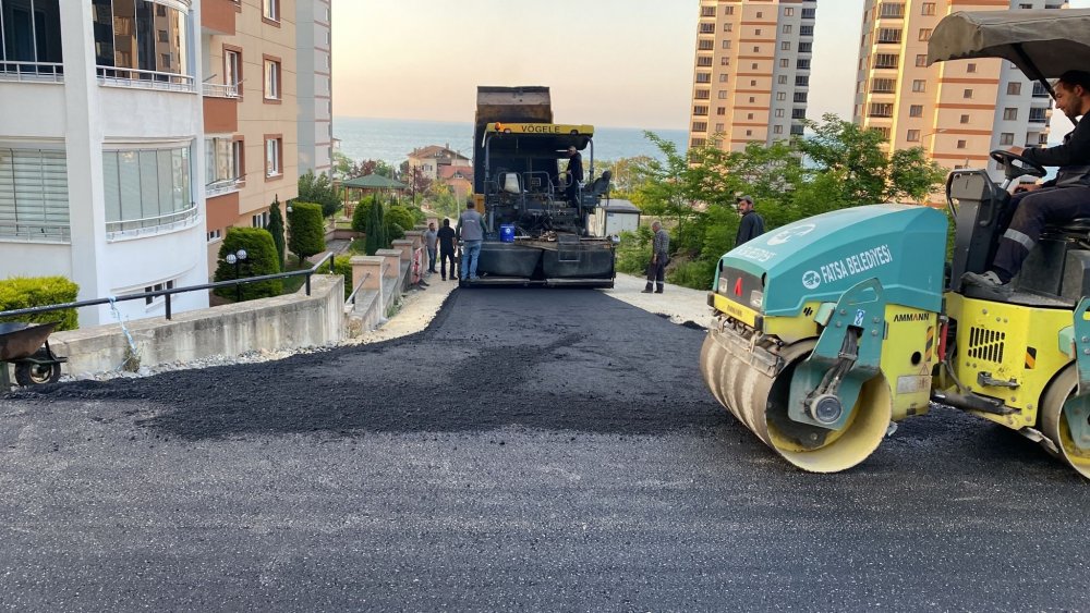 Fatsa’da Yaz Bereketi, 39 Ayrı Noktada Çalışma Var