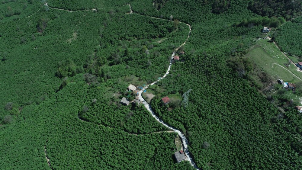 Kayaköy’ün Yarim Asırlık Hasreti Konforlu Beton Yol İle Sona Eriyor