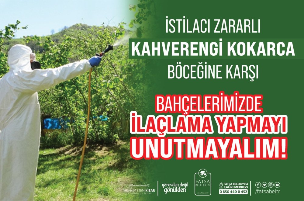 KOKARCAYA KARŞI İLAÇLAMA YAPMAYI UNUTMAYIN