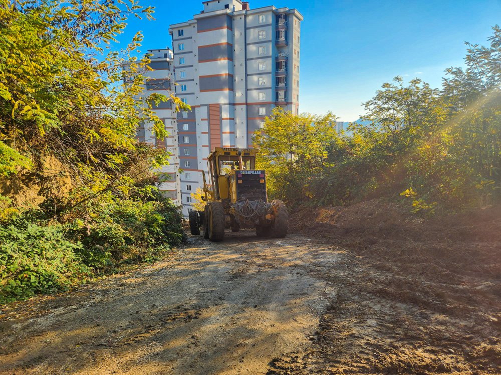 PARK BAHÇELER MÜDÜRLÜĞÜ EKİPLERİNDEN  YEŞİL ALANLARA ÖZENLİ DOKUNUŞLAR